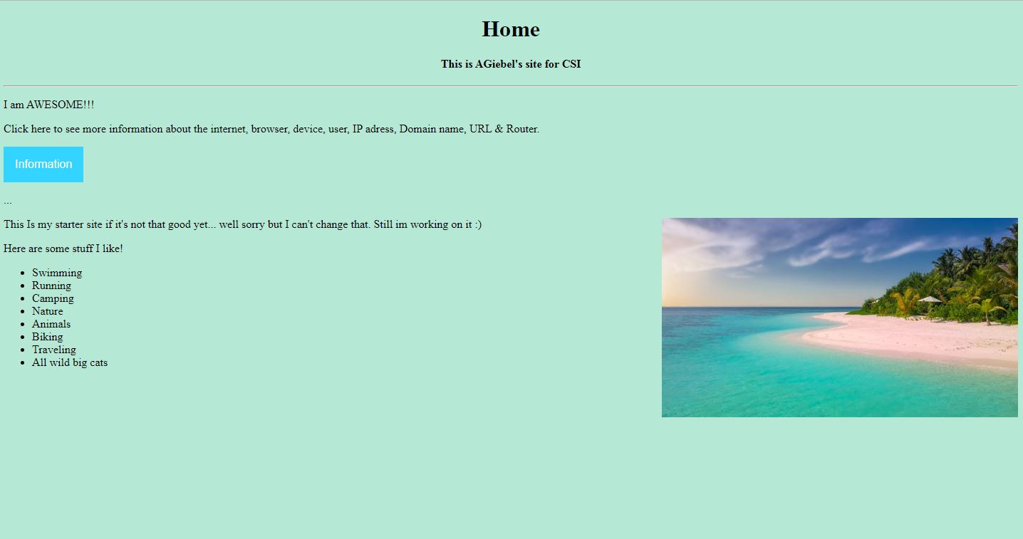 Year Nine Website